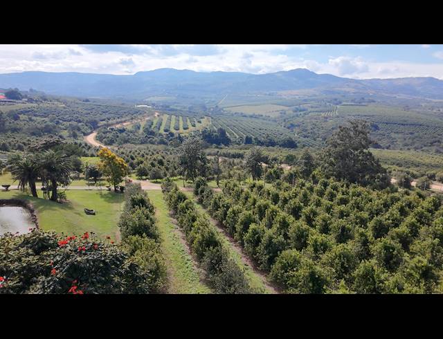 66HA FARM FOR SALE IN NELSPRUIT RURAL
